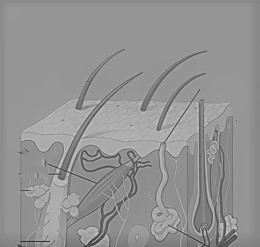 UCD Charles Institute